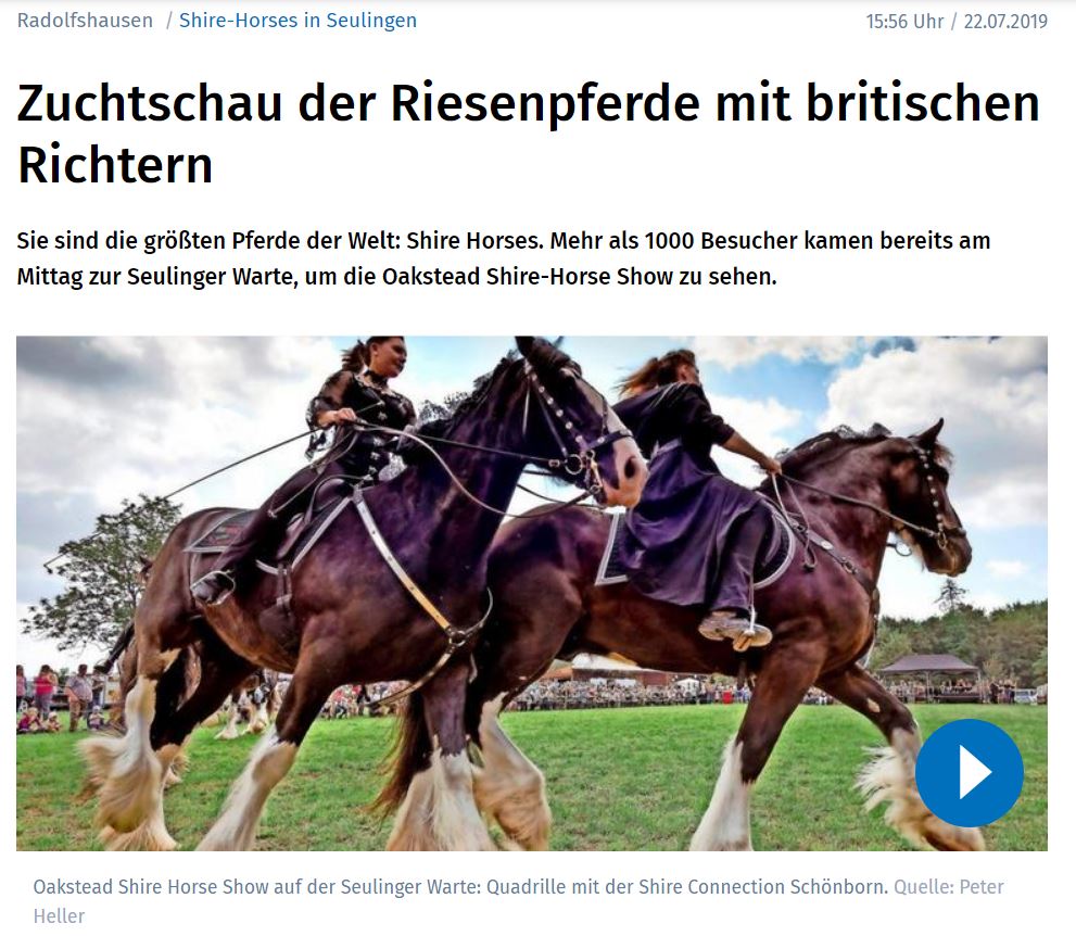 Unsere Shire Horses im Göttinger Tagesblatt